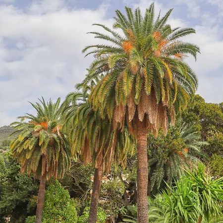 Le Garavan Palace Idyllique, Proche Gare Et